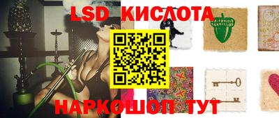 mdpv Заводоуковск