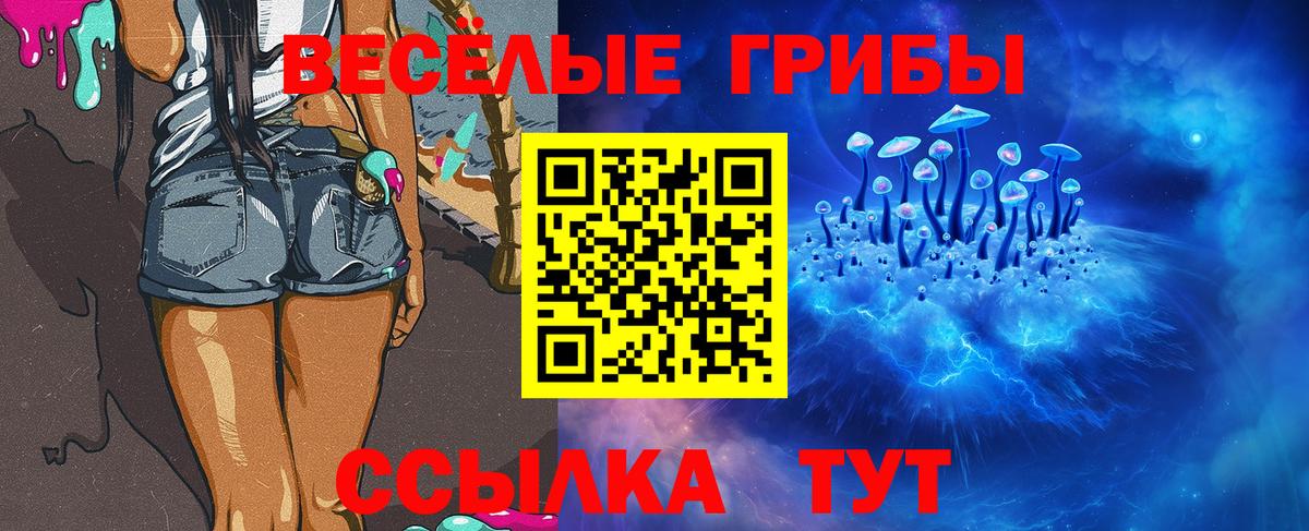 Железногорск  Псилоцибиновые грибы мухоморы  Псилоцибиновые грибы Psilocybe  Вход с VPN 
