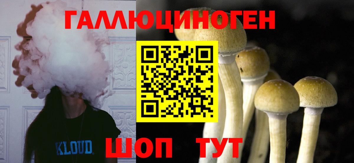 Галлюциногенные грибы Psilocybine cubensis Железногорск